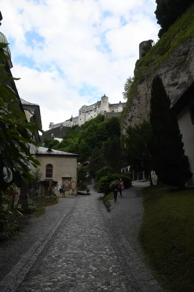 DSC_6346 (Large).JPG